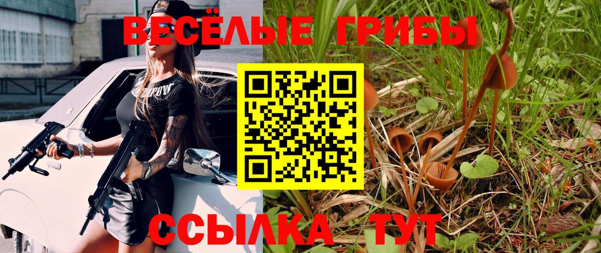 Галлюциногенные грибы Psilocybine cubensis Усть-Илимск