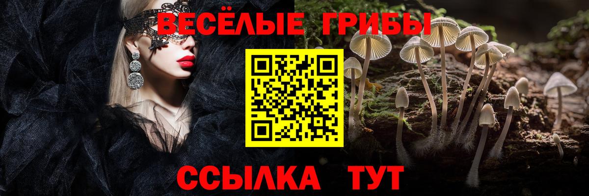 Галлюциногенные грибы GOLDEN TEACHER  Усть-Илимск 