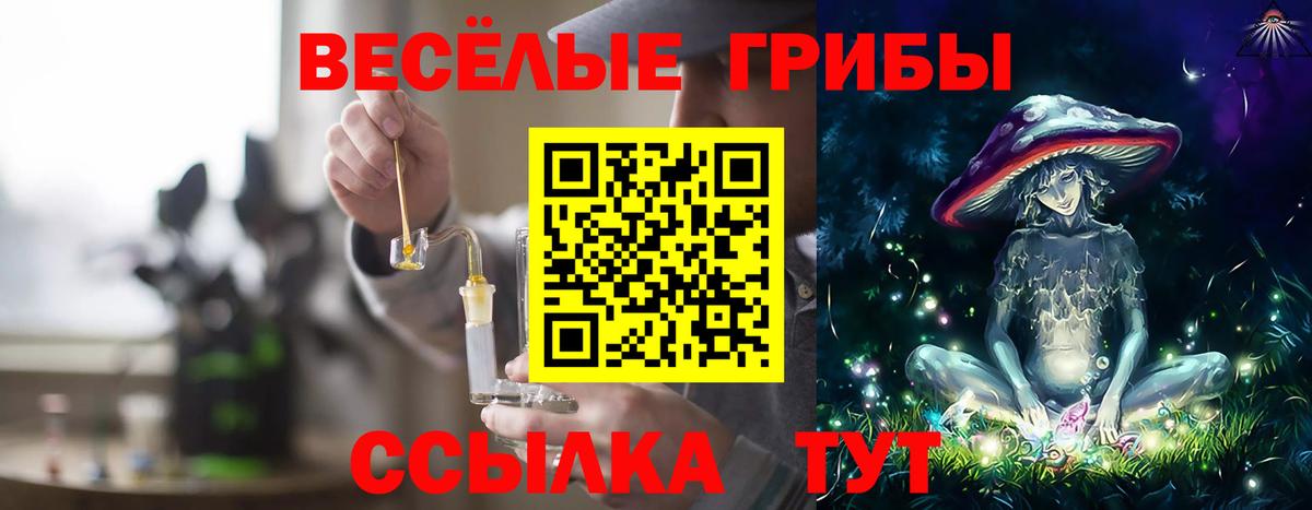 Псилоцибиновые грибы Cubensis Усть-Илимск